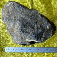 水槽・アクアリウム用の大きな石の画像