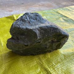 水槽・アクアリウム用の大きな石の画像