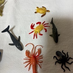 恐竜ホビーセットの画像