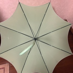 Charcoal Express 長傘　ライトグリーン　雨傘　日傘の画像