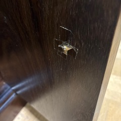 【ジャングル深井店】★飾り棚 家具 簡易クリーニング済 堺市 深井 【FU3105】の画像