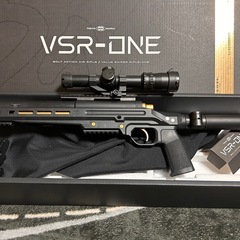 vsr-one ゴールドエディション　カスタムの画像