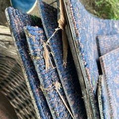カーペット　中古の画像