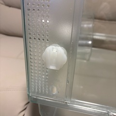 グラスハーモニー600の画像