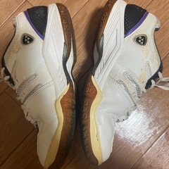 室内用シューズの画像