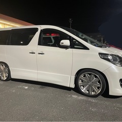 アルファード　20前期の画像