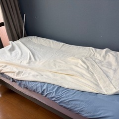 タオルケット／シングルサイズの画像