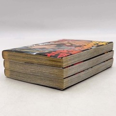 [全巻セット] 私立極道高校 2011  1～3巻 ※レンタル落ち 宮下あきらの画像