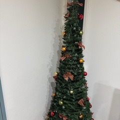 クリスマスツリーの画像