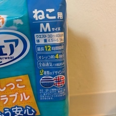 猫ちゃんオムツの画像