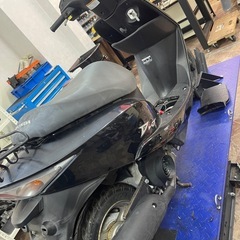 ホンダ　dio af62の画像