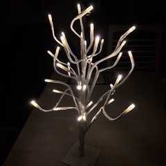 ライトツリーの画像