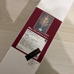 ライトツリーの画像