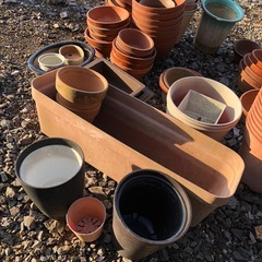 植木鉢等の画像