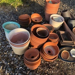 植木鉢等の画像