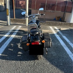 Kawasaki カワサキ ELIMINATOR エリミネーター250V
の画像