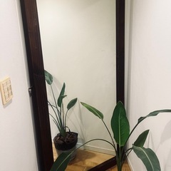 大型天然木　ビンテージオールドウッドミラーの画像