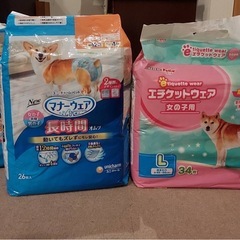 犬用オムツの画像