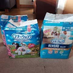 犬用オムツの画像