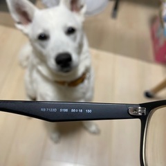【訳あり】Ray・Ban（メガネ）の画像