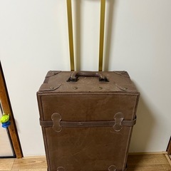 レトロ　キャリーバッグの画像