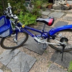 再投稿です【最終値下げ】ブリヂストン　子供用自転車　20インチの画像