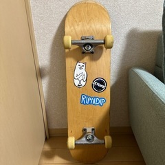 スケボー(スケートボード)の画像