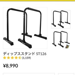 STEADY ディップスバー
の画像