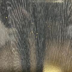 【中古/長期保管品/お引取り限定】■こたつ用天板■ブラック＆ホワイト■リバーシブル仕様■□750mm×D20mm■の画像