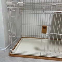 猫用ゲージ【使用期間一年】の画像