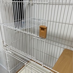 猫用ゲージ【使用期間一年】の画像