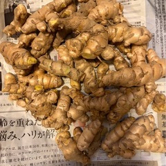 ウコン850㌘ターメリックにどうぞの画像