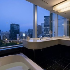 2026/1/10〜1泊ザプリンスパークタワー東京【東京タワー側】コーナーキング　ビューバス　禁煙　宿泊権利譲渡の画像