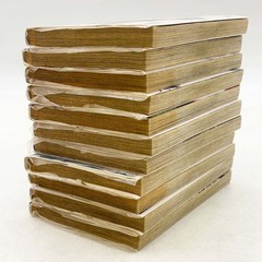 [全巻セット] 我間乱 GAMARAN  1～22巻 ※レンタル落ち 中丸洋介の画像