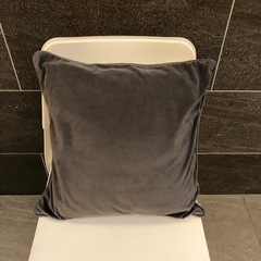 フレンチブルドッグの可愛いクッションカバー+クッションの画像