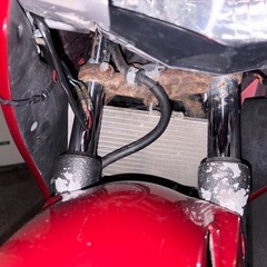 すみません！！アカウント間違えちゃって本人確認中なので少々お待ちください！の画像