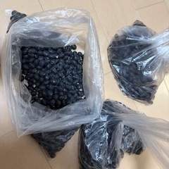 【決まりました】丹波の黒豆♬の画像