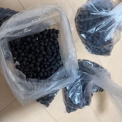 【決まりました】丹波の黒豆♬の画像