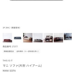 マニ ソファ(片肘 ハイアーム)の画像