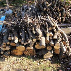 ストーブ用　薪の画像