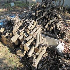 ストーブ用　薪の画像