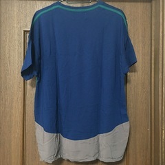 フラボアズー　３カラーベアチャンＴの画像