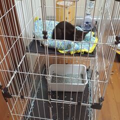 猫用ケージ 二段タイプ　4000円の画像