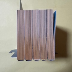 きらきらひかる2　全巻セットの画像