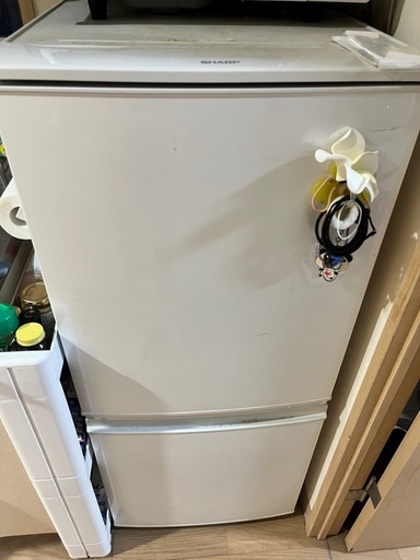 単身SHARP 冷蔵庫 SHARP冷蔵庫一人暮らし用 (れい) 祇園のキッチン家電《冷蔵庫》の中古