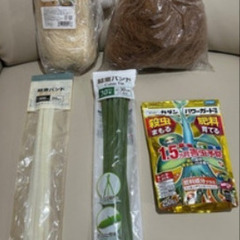 観葉植物セットの画像