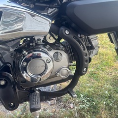 モンキー125（jb05）現行型、バイク屋新車購入ワンオーナー、最終値下げ！の画像