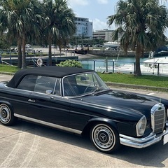 1964年式 220SE クーペ・カブリオレ セミレストア済の画像