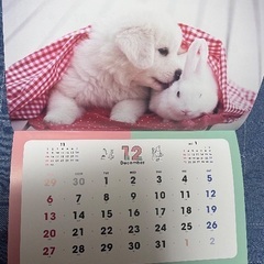 2026年壁掛カレンダー ふわもふフレンズ アニマルカレンダー 犬 猫 うさぎの画像