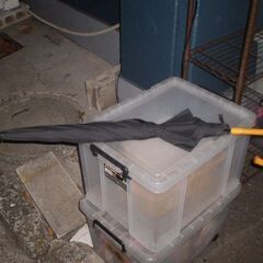 GRAVING 傘　畳んだ長さ95㎝　くらい　使用感破れ少々あります。の画像